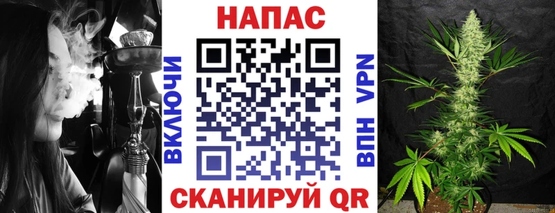 Шишки марихуана гибрид Богданович